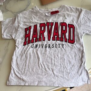 Harvard University Kids Gray T-Shirt from Zara Kids